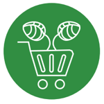 Public procurement